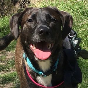 Meet your Posher, Laura